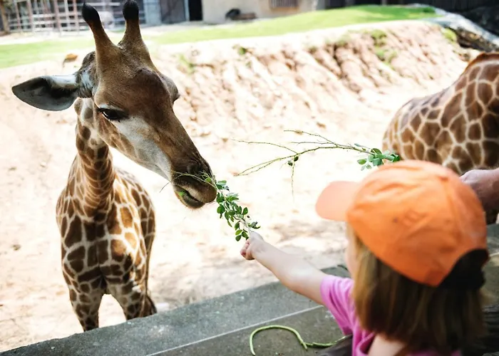 Wfh Urban Retreat @ Carnide